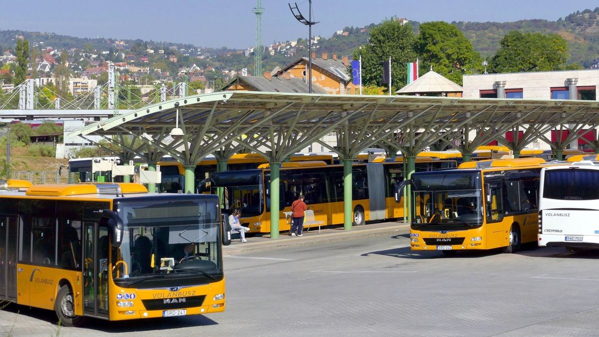 Ingyen utazhatnak a MÁV-Volán-csoport járatain a Tanítsunk Magyarországért! programban részt vevők