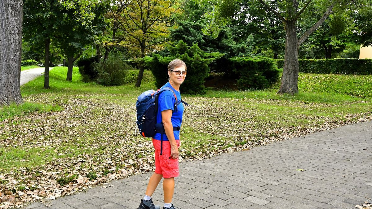 El Camino az unokával is