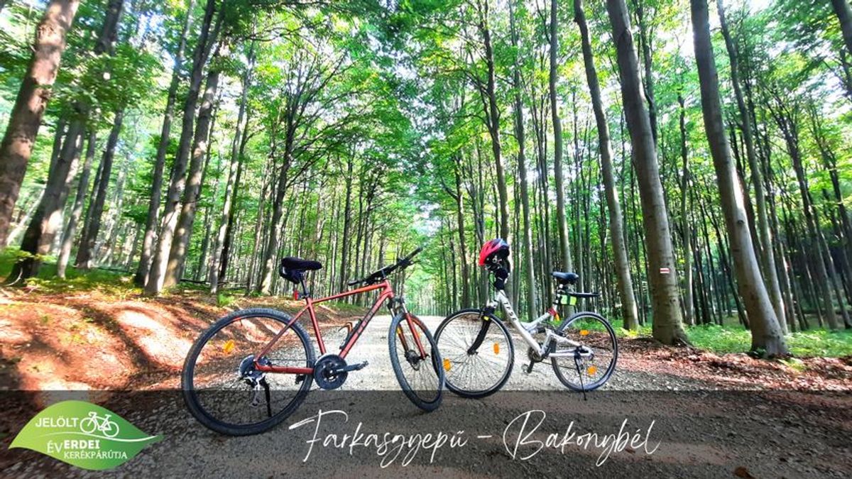 A második legszebb a bakonyi erdei kerékpárút