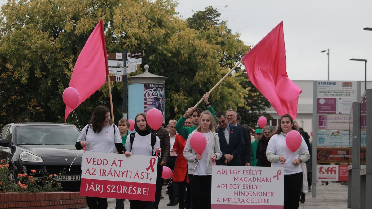 A mellrák ellen sétáltak Veszprémben (galéria)