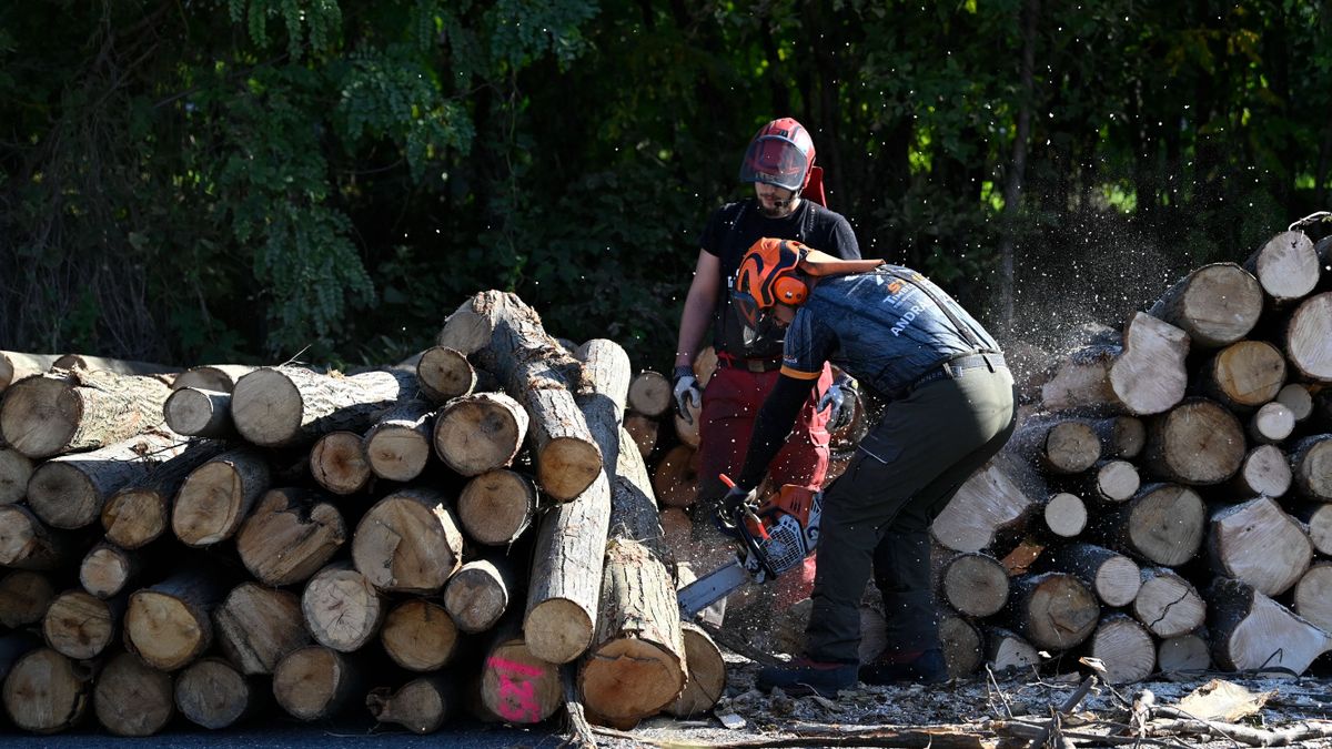 Megfelelő mennyiségben és minőségben is rendelkezésre áll a tűzifa (videó)