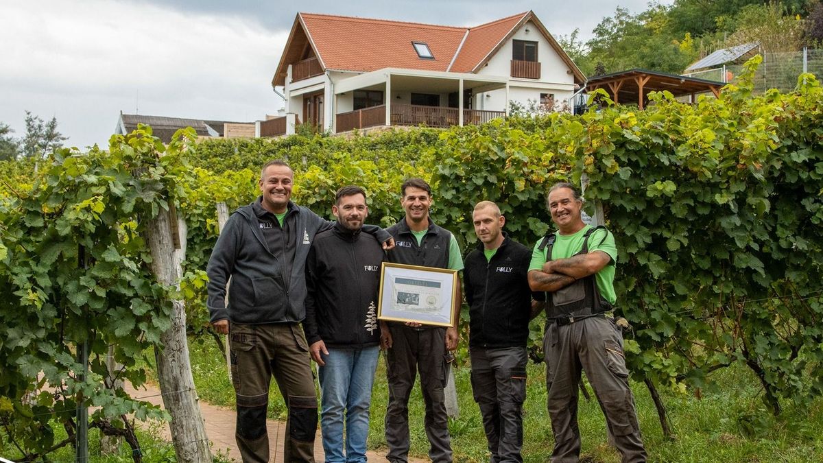 Videón az ország egyik legszebb szőlőbirtoka: a Folly többről szól, mint a borászkodásról