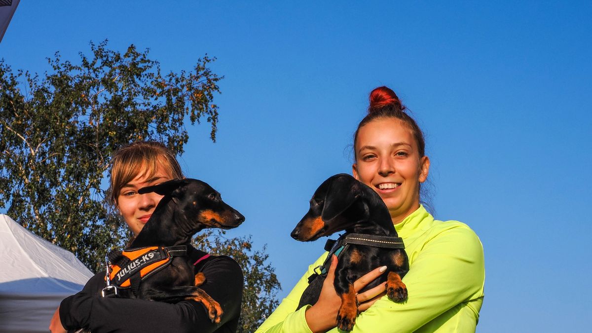 Jószolgálat, egészség, barátság: jótékonysági kutyás futást szerveztek a Somlón