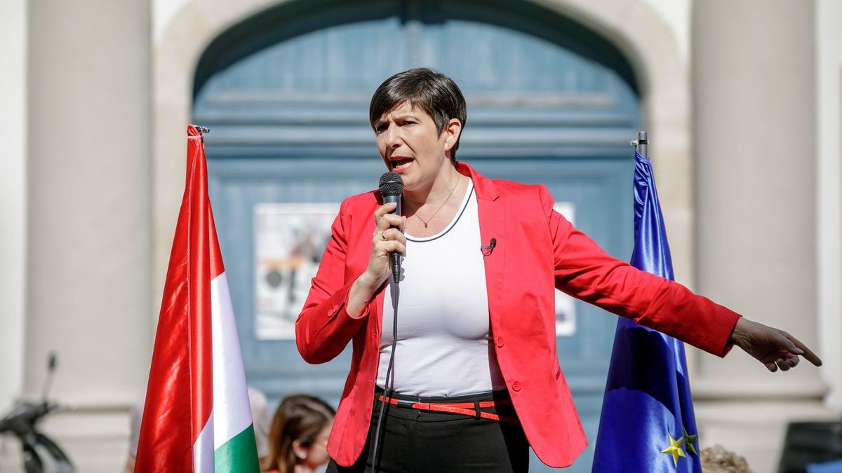 Az egyik leggazdagabb magyar politikus, Dobrev szerint fizessenek azok, akik luxusban élnek