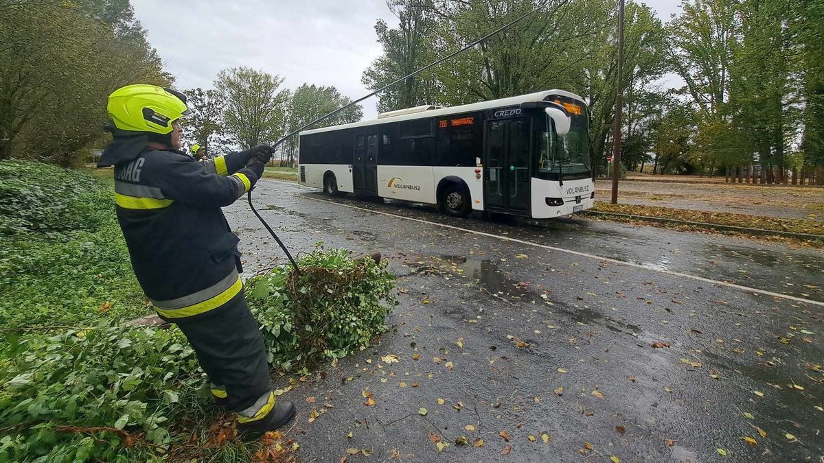 Megtépázta a viharos szél Veszprém vármegyét +fotók