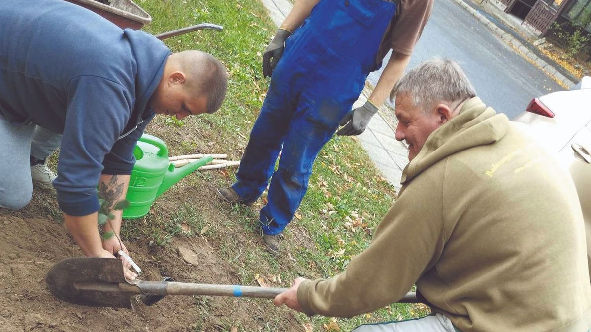 Petőfi körtefáját is elültették Kisapátiban