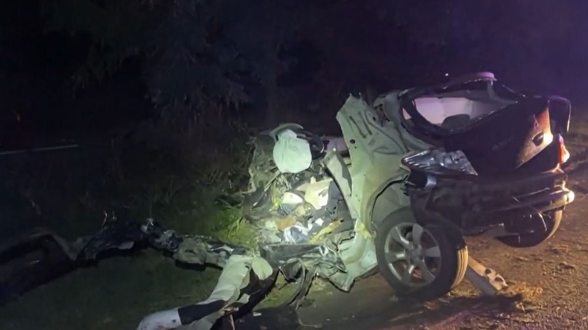 Horrorbaleset: felnyársalták a fák az autót, szörnyethalt a sofőr