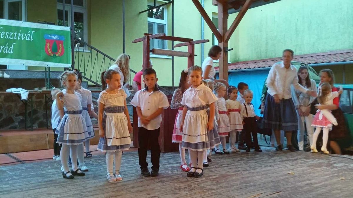 Jótékonysági krumpli-és lecsófesztivál Nyárádon