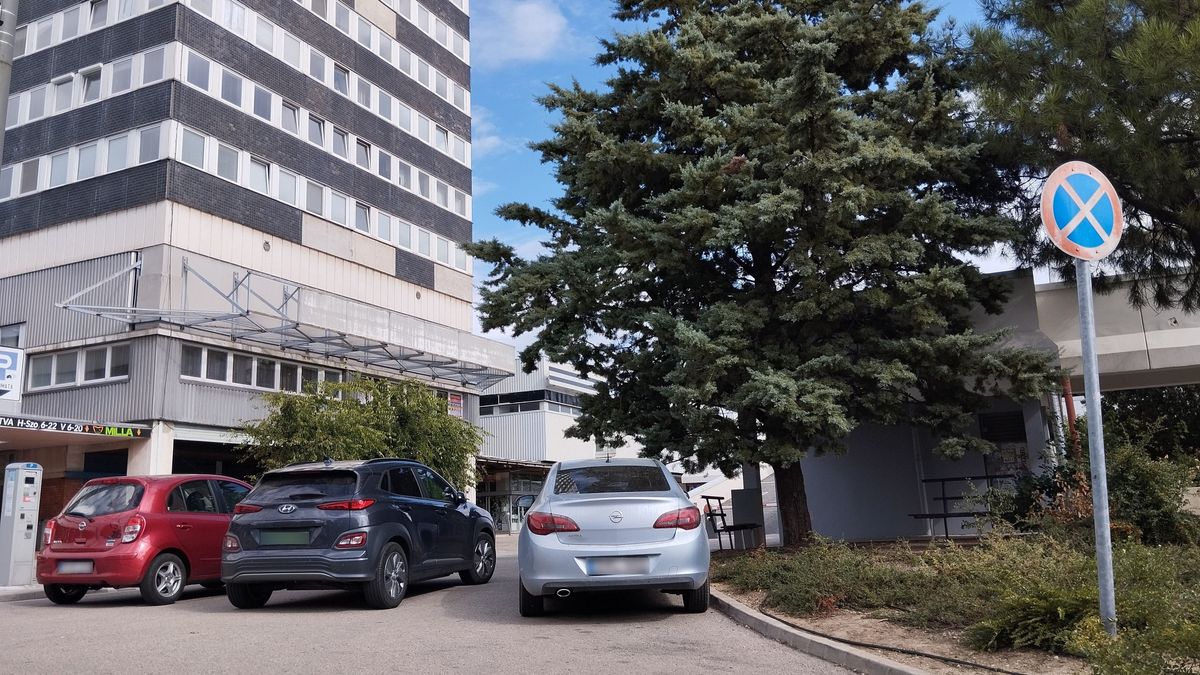 Így parkoltok ti: a húszemeletesnél megvillant az IQ