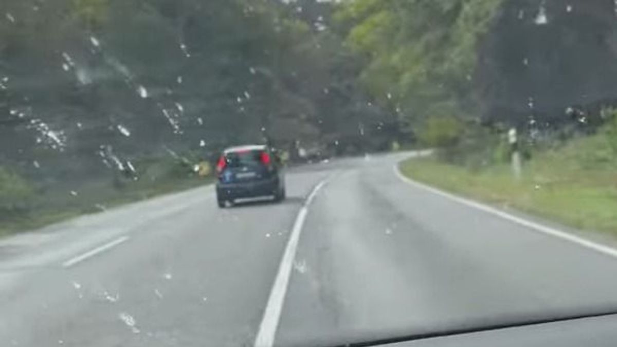 Egy sofőr döbbentette meg Veszprém vármegyét: drogbanda és tűz borzolta olvasóink idegeit