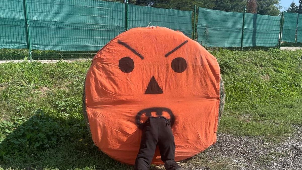 Az őszi Koppány díszei: hintalótól hintázó madárijesztőig (képgaléria)