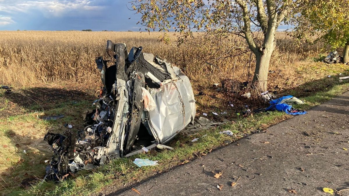 Szívszorító: egymás mellett halt meg a két barát