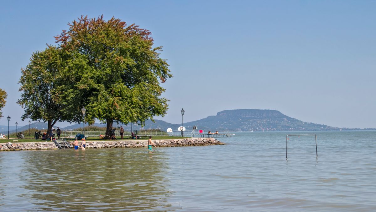 2023-ban már 100 931 kg halat telepítettek a Balatonba