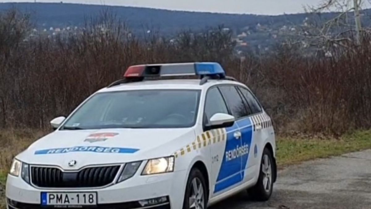 Olyan dolgot tett a vonaton, hogy a balatonalmádi rendőrök vitték el
