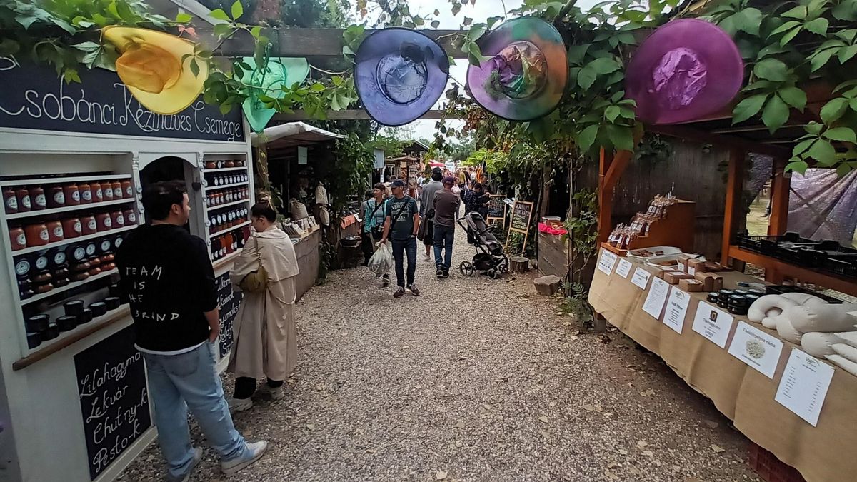 A káptalantóti piac csodájára járt Veszprém vármegye, papírboltot sirattak olvasóink