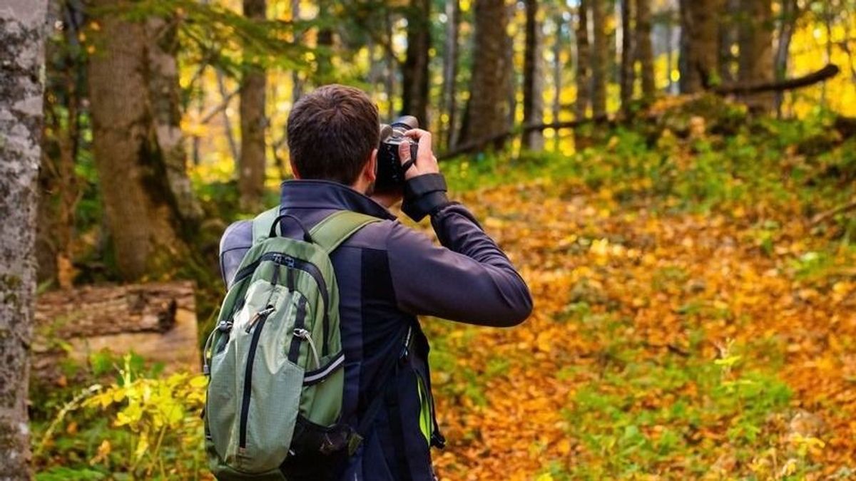 Több mint 30 éve nem fotóztak hazai erdőben olyan állatot, mint amit most Záhonynál