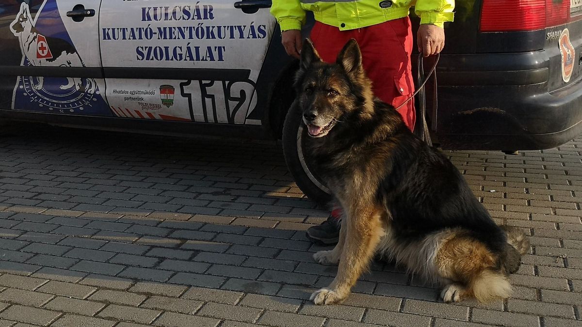 Szívszorító búcsú a hős mentőkutyától: „Lendon már az örök vadászmezőkön ment, segít”