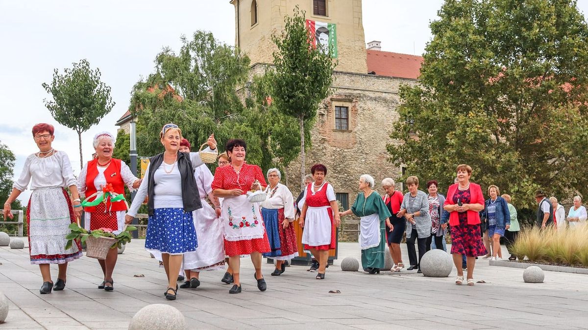 Saját szüreti rendezvényt tartott a várpalotai nyugdíjasklub