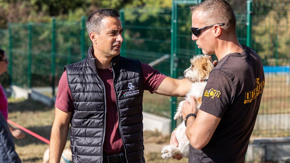 Szeretetbombák és gazdáik találkoztak Veszprémben