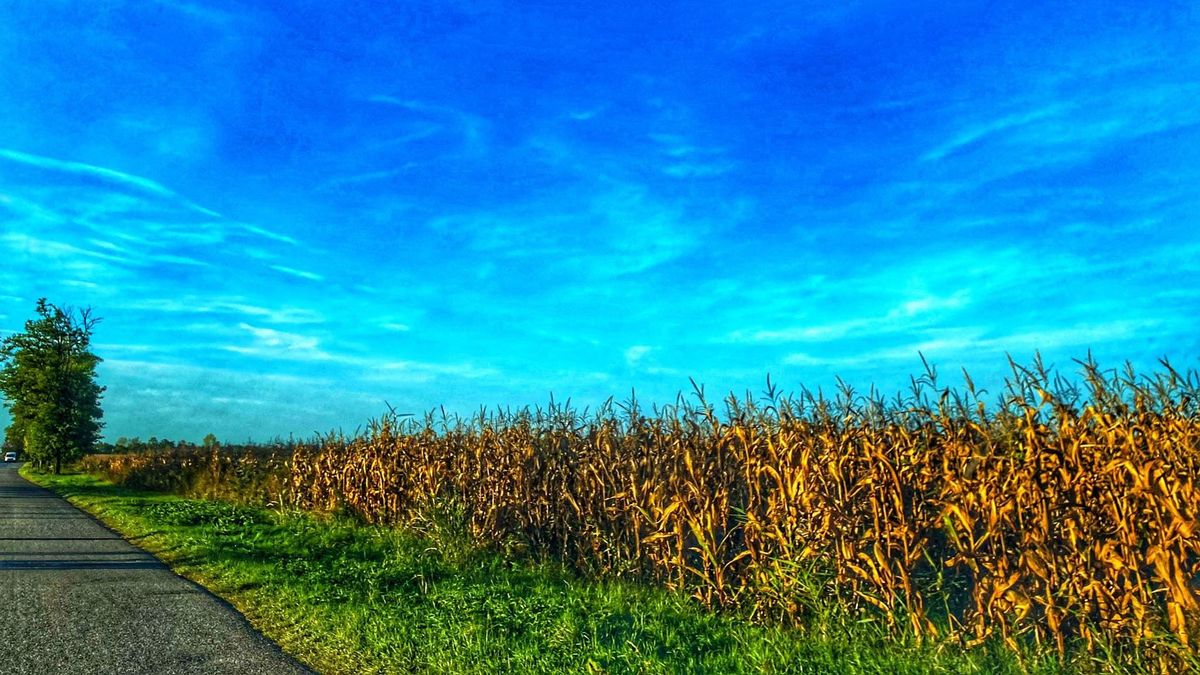 Hétfői időjárás: a kiskabátot most már nem érdemes otthon hagyni