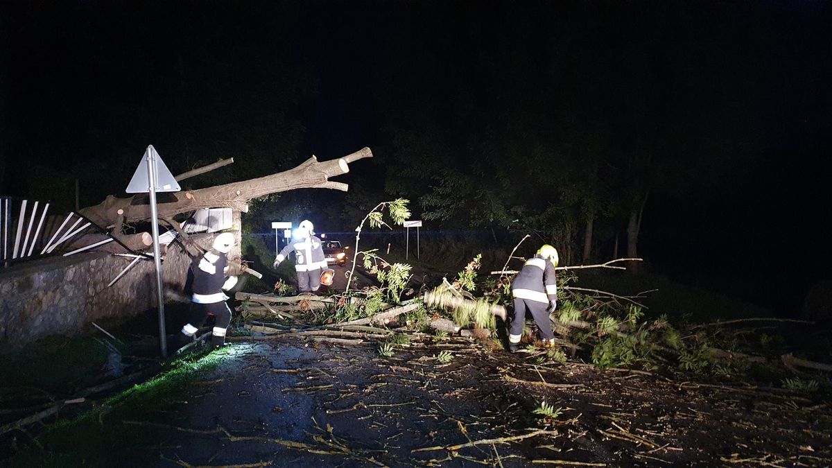 A kastélyparkból dőlt az útra a fa