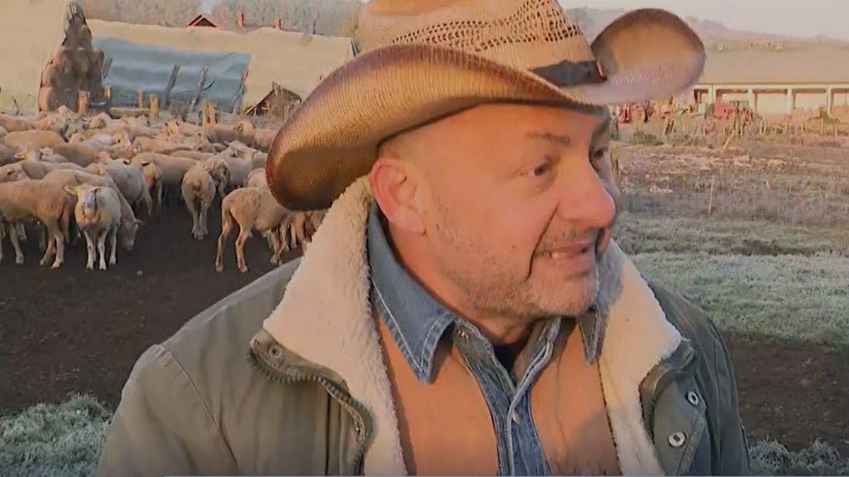 Megmutatta különleges munkahelyét Gáspár Zsolti