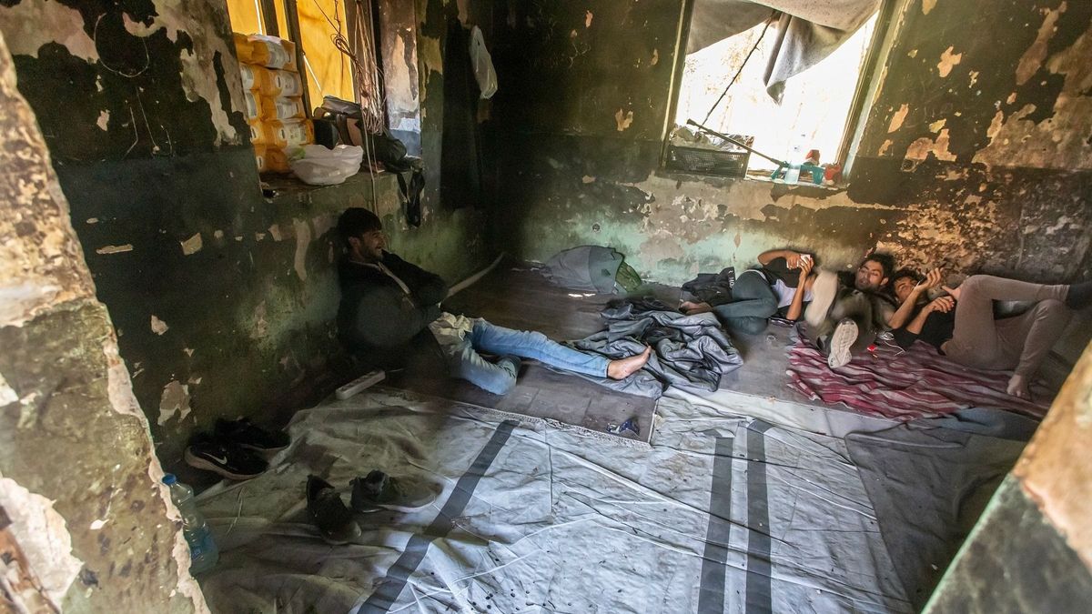 Lövöldözés a magyar határnál: három migráns életét vesztette az összecsapásban