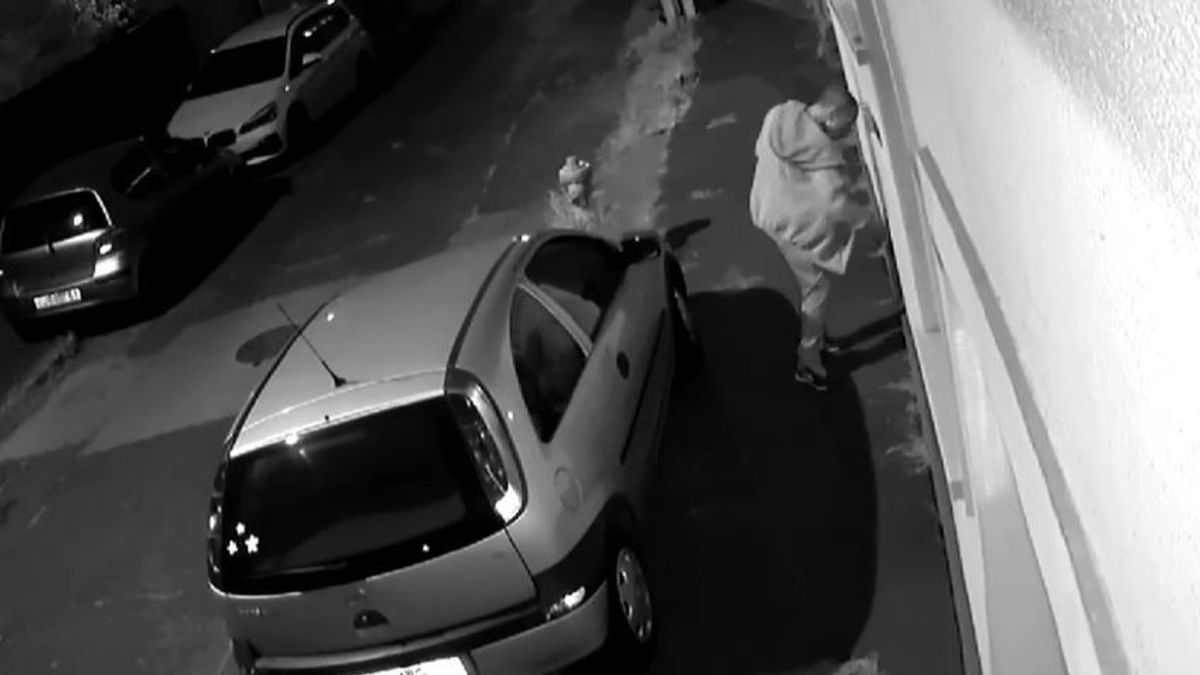 Végre! Börtönbe kell mennie a kutyaszurkálónak