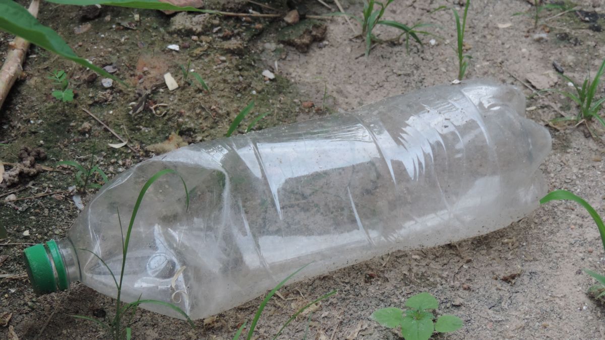 Mennyire ösztönző az ötvenforintos betétdíj?