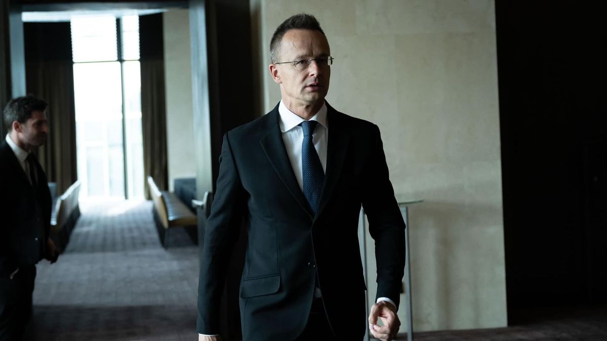 Öt magyar konzul is jelen lesz a Magyarország-Litvánia futballmeccs helyszínén (videó)