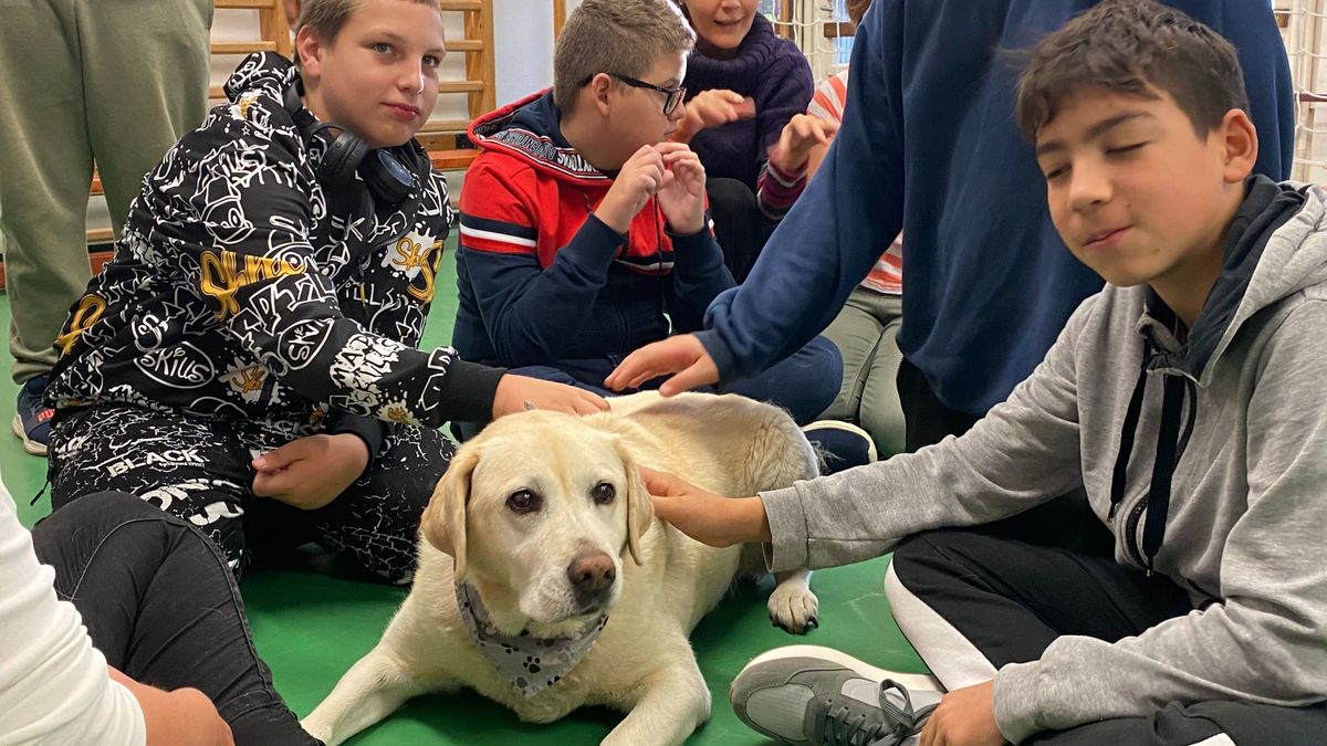 Állatvédelmi témahét: fókuszban a felelős állattartás és állatvédelem - videó