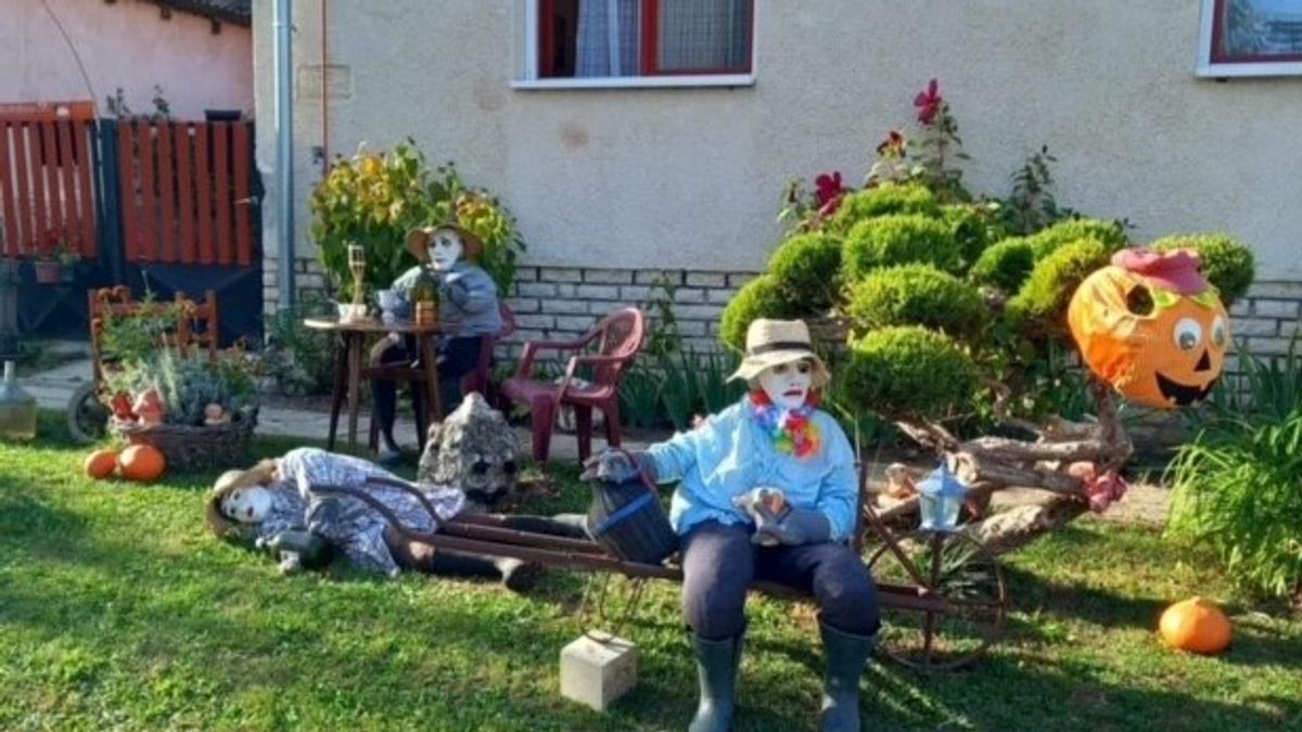 Kidőlt a dűlőből a szücsi szüretelő, Ildi háza elé