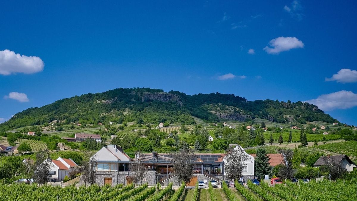 Kiderült, melyek az ország legszebb szőlőbirtokai: három díj is Veszprém vármegyébe került