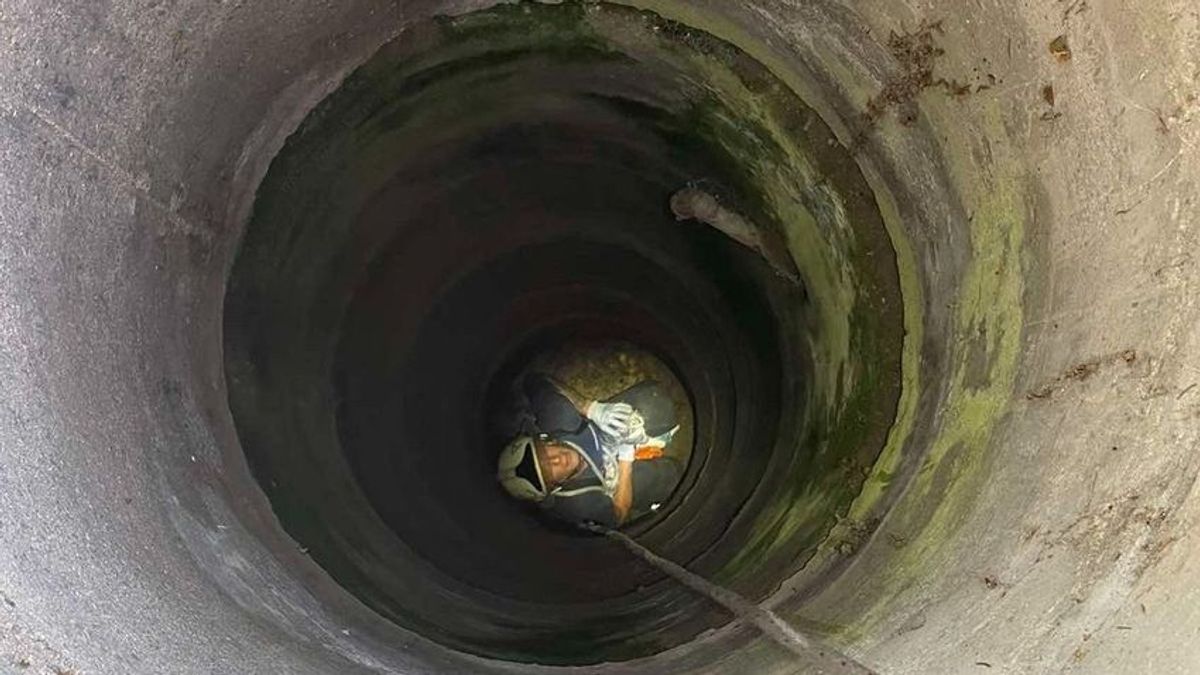 Kútba zuhant egy tinilány Erdőkertesen, videón a mentőakció