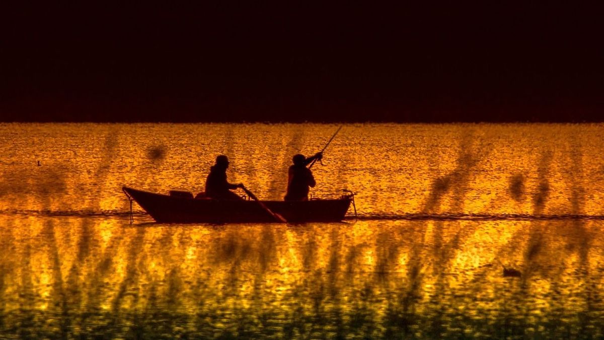 Fenntartható süllőállomány a cél