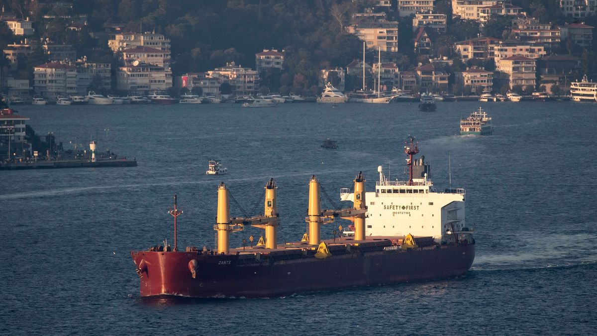 Ukrajna felfüggesztette a Lengyelország, Magyarország és Szlovákia elleni panaszát a WTO-nál