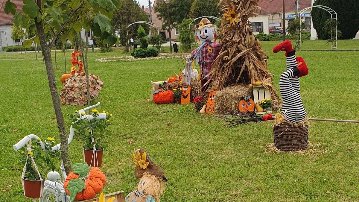 Őszi faludíszek – Devecserben a kosárba derékig belemászott a manó