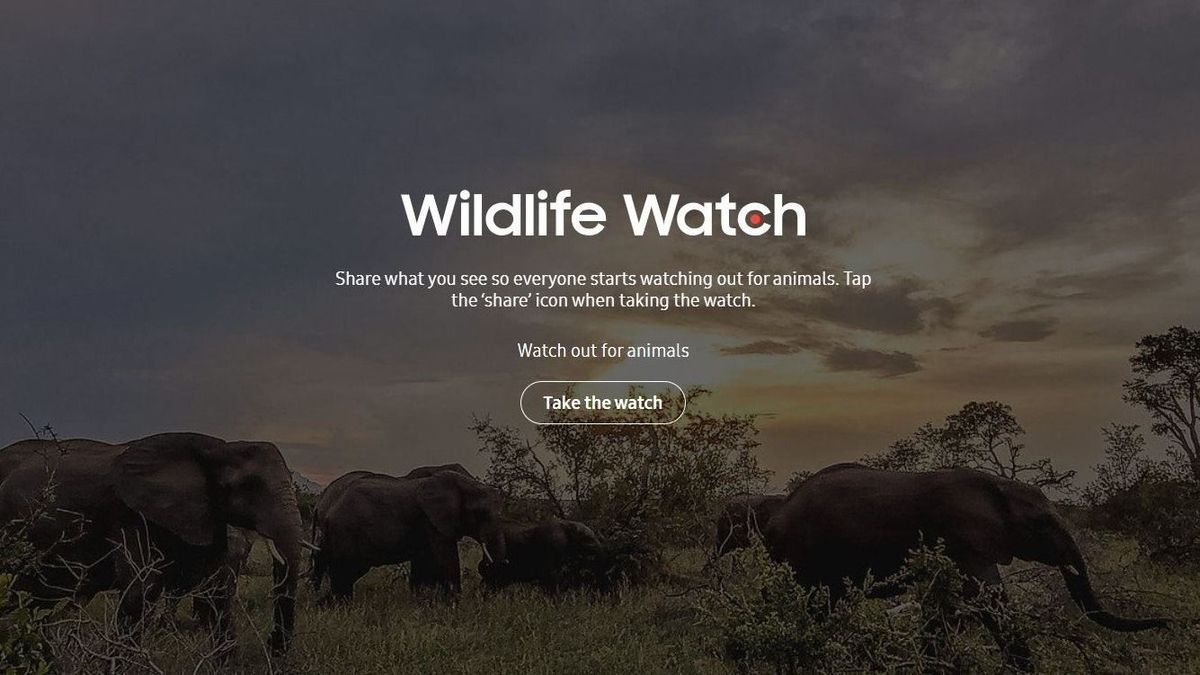 Legyen virtuális vadőr, aki megvédi Afrika vadvilágát az orvvadászoktól