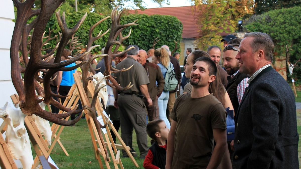 Bemutatták a vadásztársaságok trófeáit Sümegen