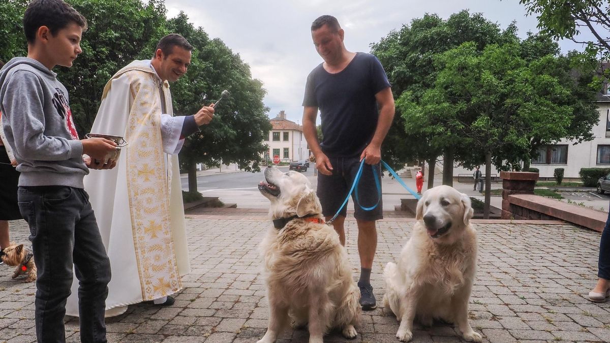 Áldást kaptak: kisállatokat vittek a füredi plébániához