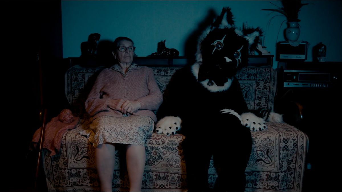 19. Pannonfíling: Ismét jön a rövid filmek hosszú napja