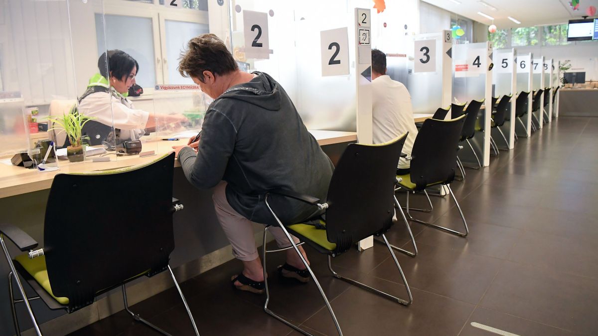 Hazaváró program – Egyre több magyar állampolgár tér haza