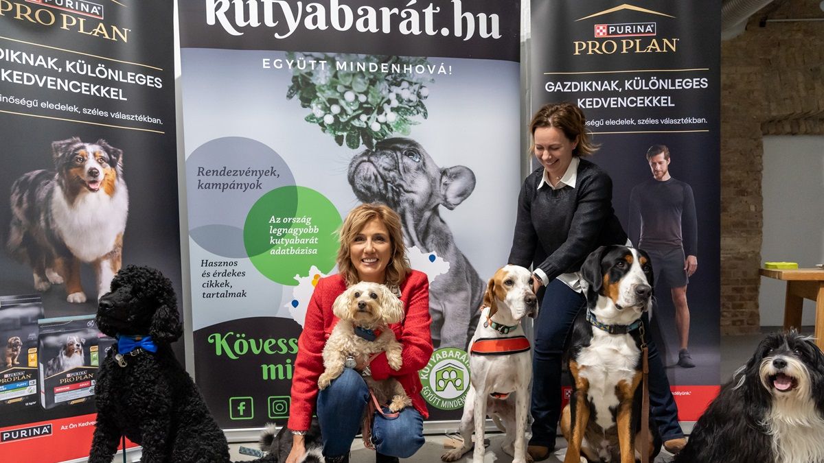 Az év kutyabarát helyei, itt vannak a Veszprém vármegyei díjazottak