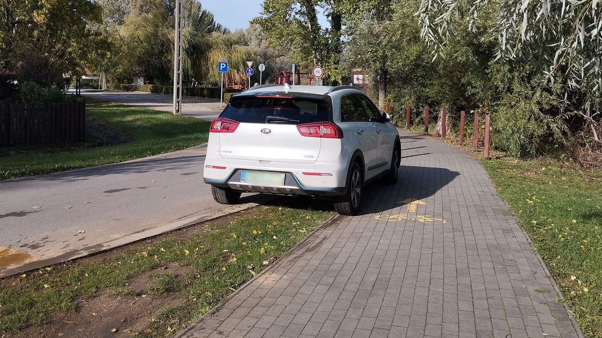 A zöld rendszám nem érvényes a fűre