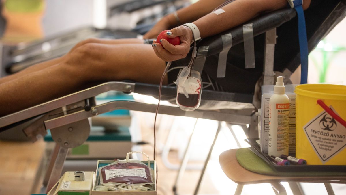 Márkótól Veszprémig életmentő válhat most bárkiből