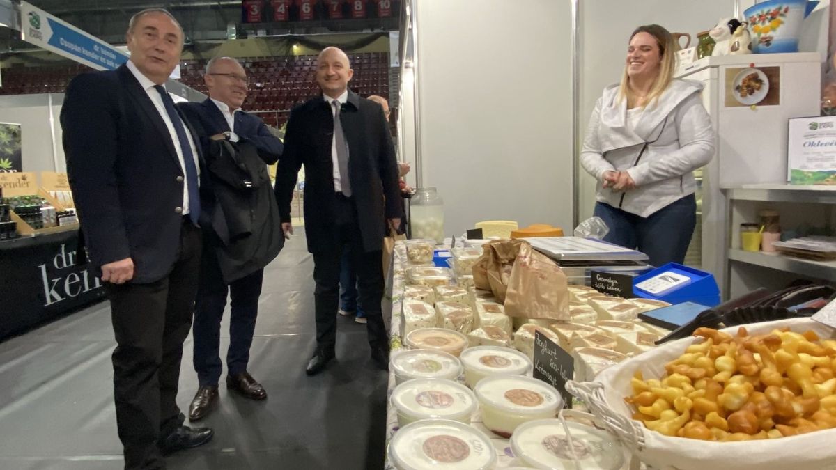 Megnyílt a Bakony Expo, Bogiék nyerték a nagydíjat