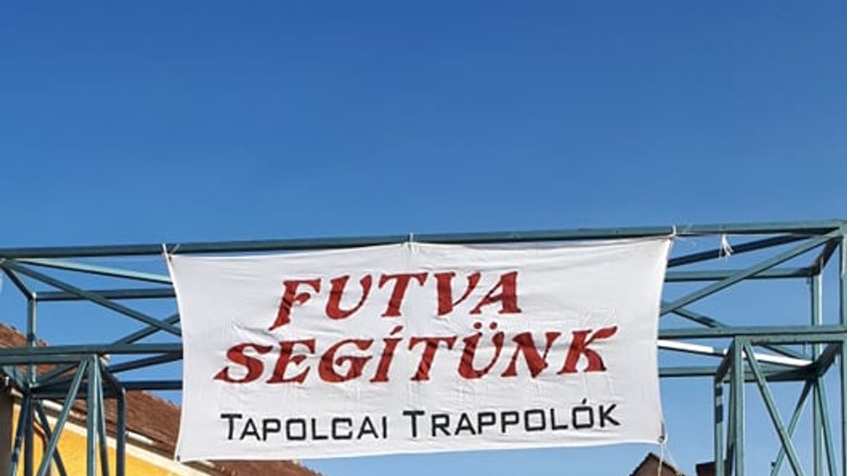 Mentsük meg Lackót és családját! Speciális orvosi ellátásokra van szükség