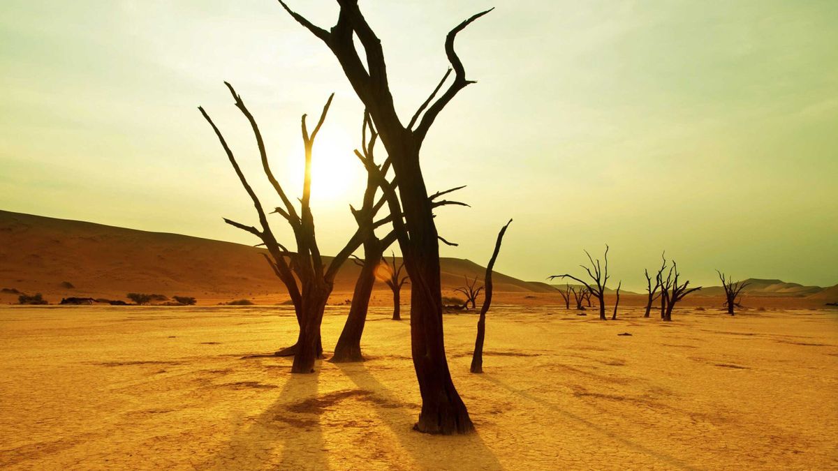 sivatag éghajlatváltozás klímaváltozás