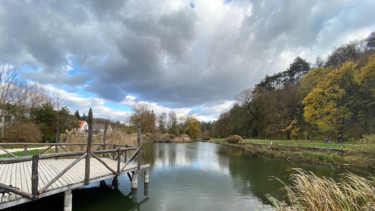 Varázslatos november a Veszprémvölgyben (képgaléria)