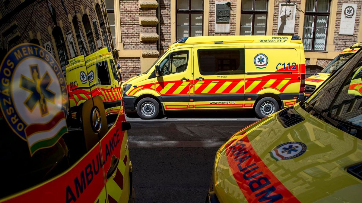 A mozdonyvezető és az utasok mentették meg egy férfi életét Budapesten